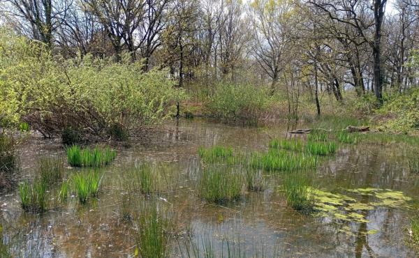 La Riserva Lago di Sibolla