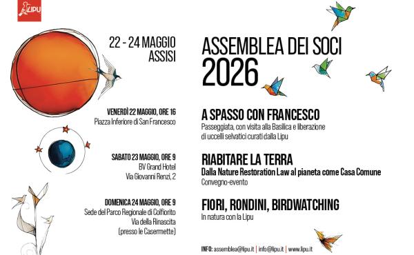 Il programma