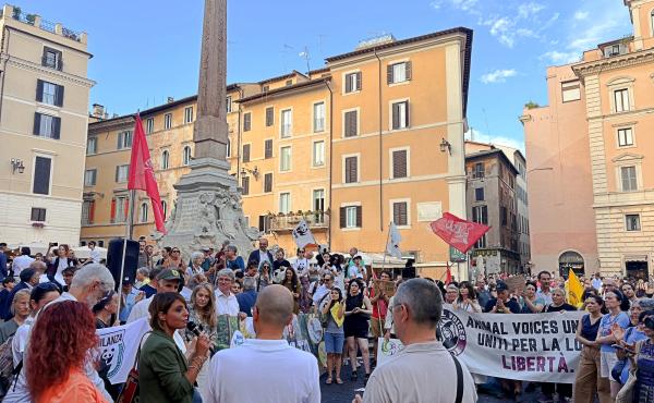 Un momento del presidio di oggi a Roma