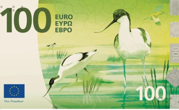 L'immagine dell'avocetta per i 100 euro