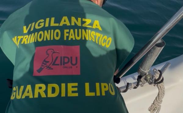 Vigilanza in mare durante l'"Action Day"