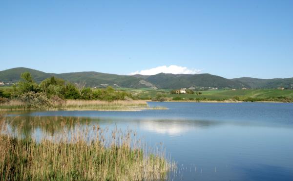 Una veduta della Riserva naturale Lago di Santa Luce (Pisa)
