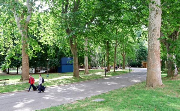 Parco urbano