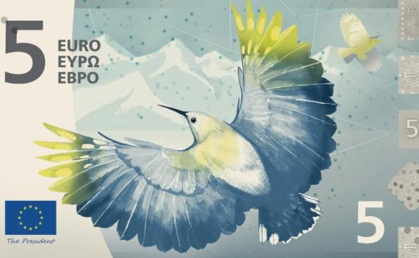 L'immagine del picchio muraiolo sulle banconote Euro