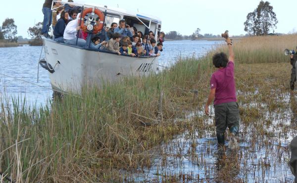 Una liberazione nella Riserva Chiarone-Oasi Lipu Massaciuccoli