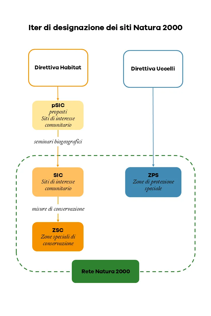 iter di designazione dei siti Natura 2000 - infografica
