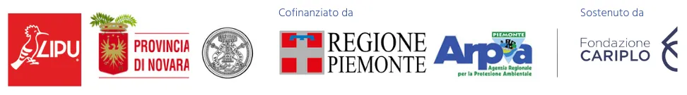 Novara in rete_loghi