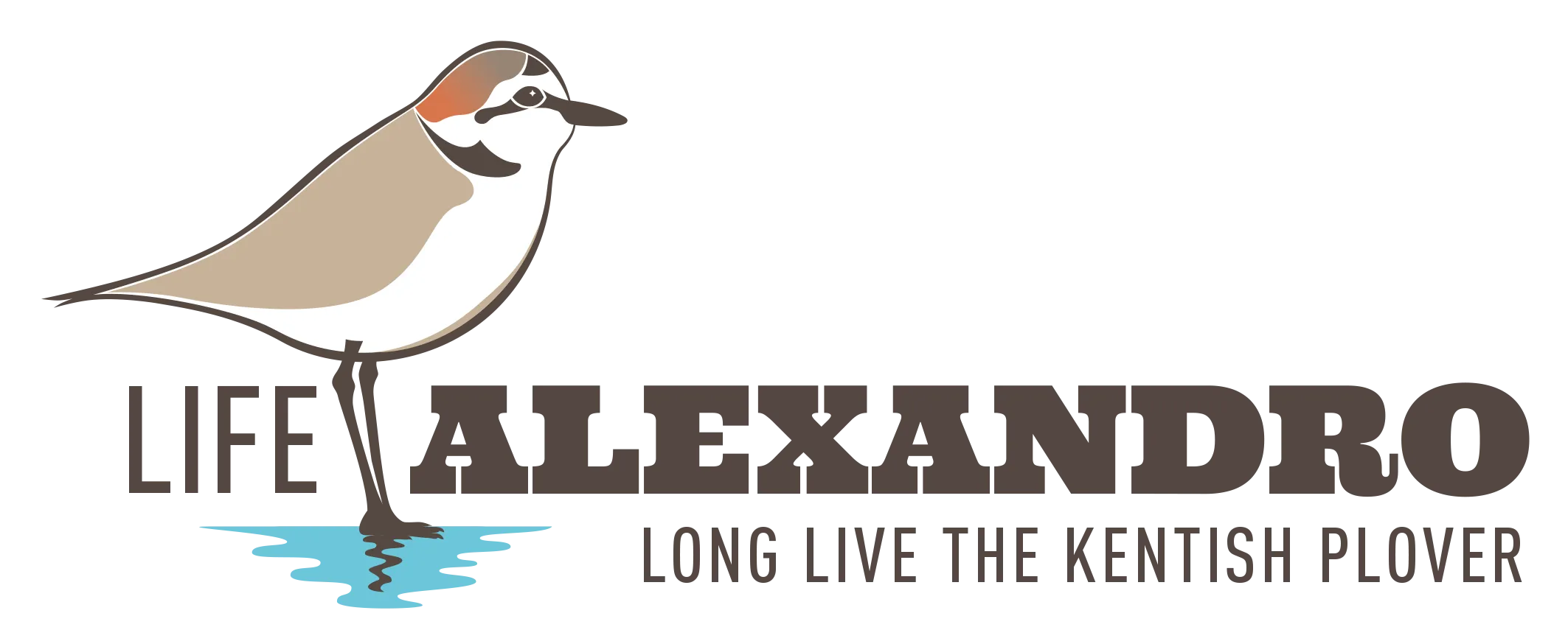 Logo Life Alexandro 