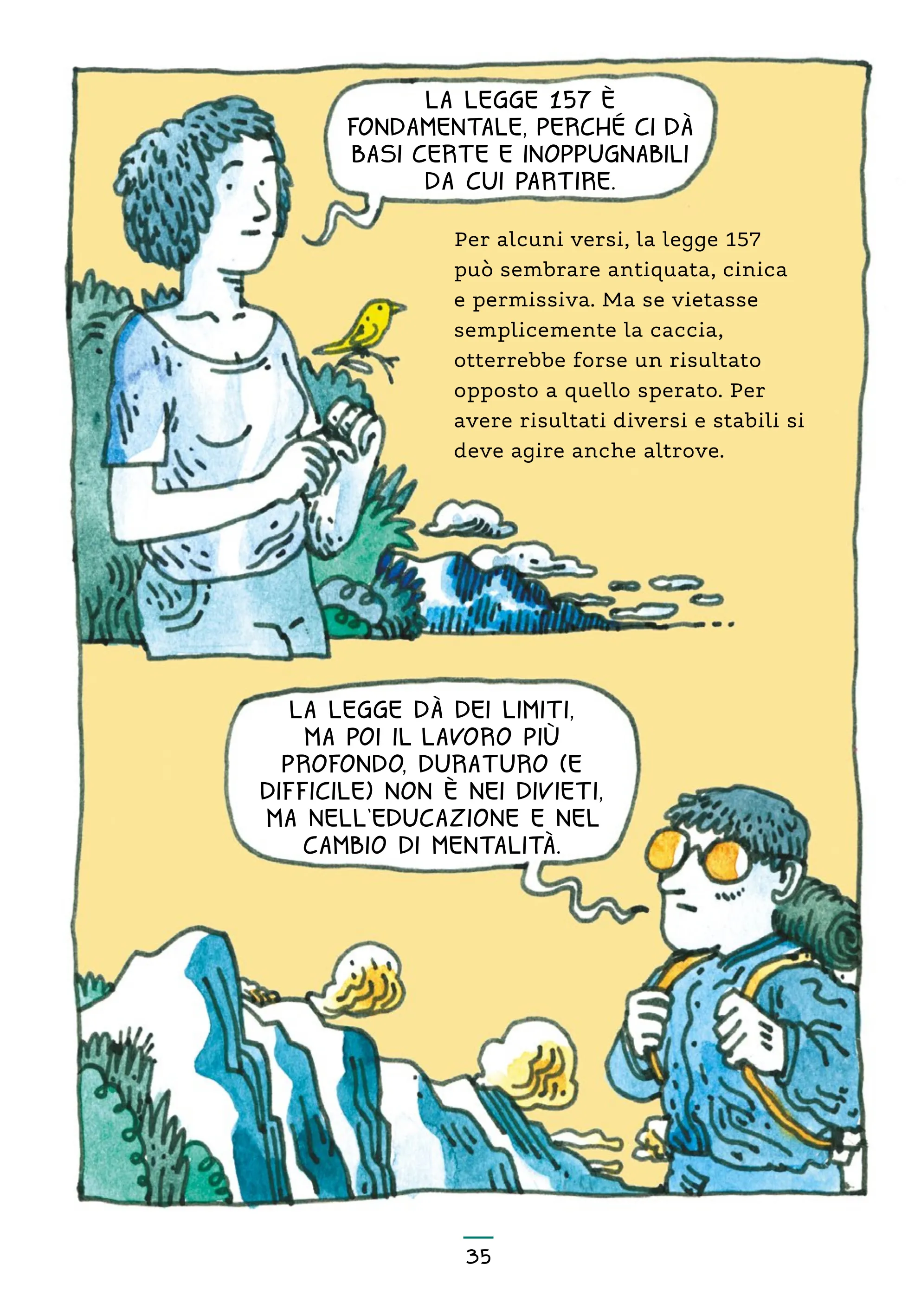 Tav. 5